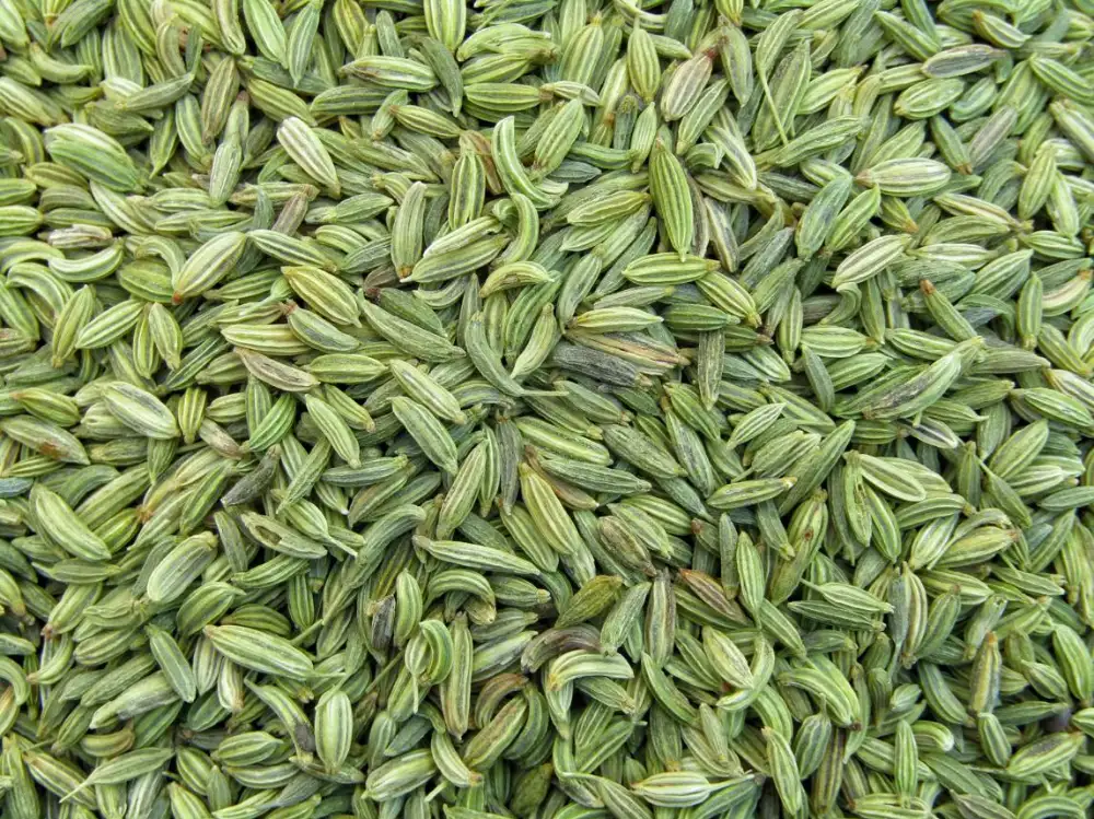 Maqui Berry Ingredient